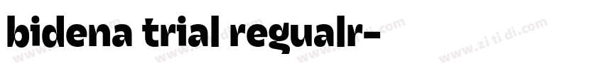 bidena trial regualr字体转换